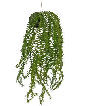 Artificial Hanging Plant Phlegmariurus Ball 50 cm - Easyplants Artificial Plants & Flowers
