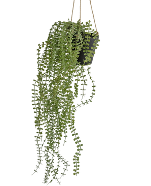 Artificial Hanging Plant Pumila 81 cm in pot - Easyplants Artificial Plants & Flowers