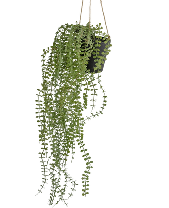 Artificial Hanging Plant Pumila 81 cm in pot - Easyplants Artificial Plants & Flowers