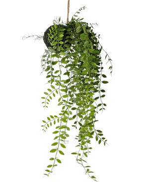 Artificial Hanging Plant Pumila Ball 30 cm - Easyplants Artificial Plants & Flowers