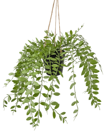 Artificial Hanging Plant Pumila in pot 30 cm - Easyplants Artificial Plants & Flowers