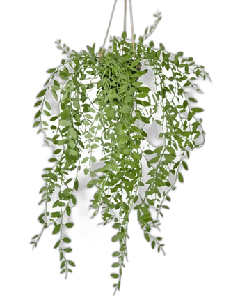 Kunst hangplant Pumila in pot 55 cm