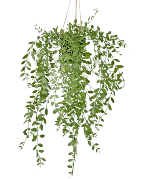 Artificial Hanging Plant Pumila in pot 55 cm - Easyplants Artificial Plants & Flowers