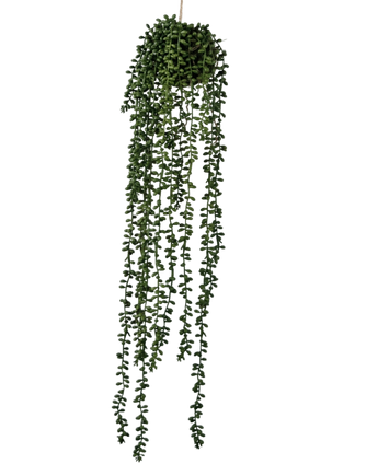 Artificial Hanging Plant Senecio Ball 71 CM - Easyplants Artificial Plants & Flowers