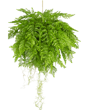 Artificial hanging plant sailing with carrots D55 cm with suspension system - Easyplants Artificial Plants & Flowers