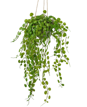 Artificial Hanging Plant Fat Plant 53 cm in pot - Easyplants Artificial Plants & Flowers