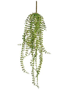 De Kunst hangplant Vetplant 71 cm heeft lange, hangende groene stelen met kleine, ronde bladeren, perfect om te laten zien tegen een witte achtergrond.
