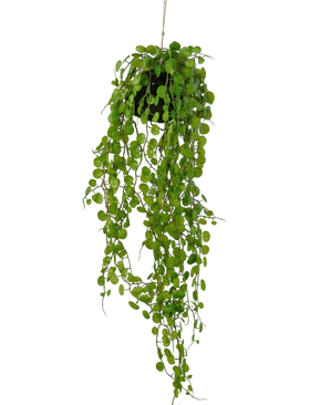 Artificial Hanging Plant Fat Plant on bulb 78 cm - Easyplants Artificial Plants & Flowers