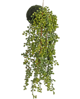 Artificial Hanging Plant Fat Plant on bulb 40 cm - Easyplants Artificial Plants & Flowers