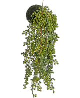 Kunst hangplant vetplant op bol 40 cm