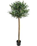 Artificial olive tree 150 cm UV - Easyplants Artificial Plants & Flowers