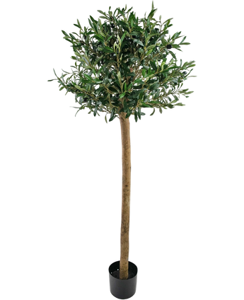 Artificial olive tree 150 cm UV - Easyplants Artificial Plants & Flowers