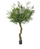 Artificial olive tree 270 cm with olives - Easyplants Artificial Plants & Flowers