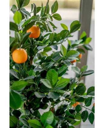 Close-up of the Artificial orange tree 120 cm, with lush green leaves and multiple ripe orange fruits, placed indoors near a bright window.