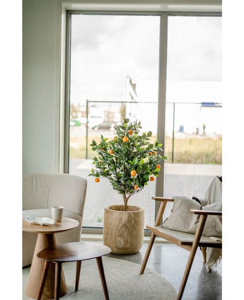 An artificial orange tree 120 cm stands near a large window in a modern, bright living room with a beige chair, wooden side table and a coffee cup on a saucer.