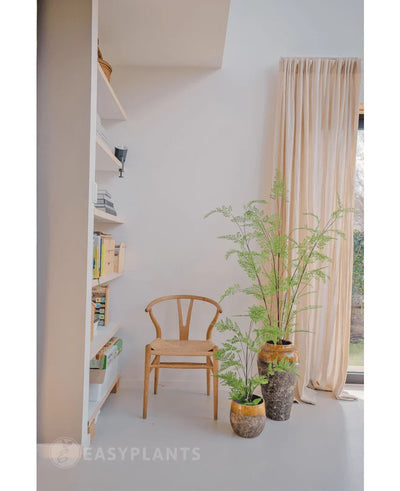 Een minimalistische kamer met een houten stoel naast een hoge boekenplank en twee potplanten, waaronder de Kunst varen plant 140 cm. Beige gordijnen bij een groot raam vullen de ruimte met zacht natuurlijk licht.