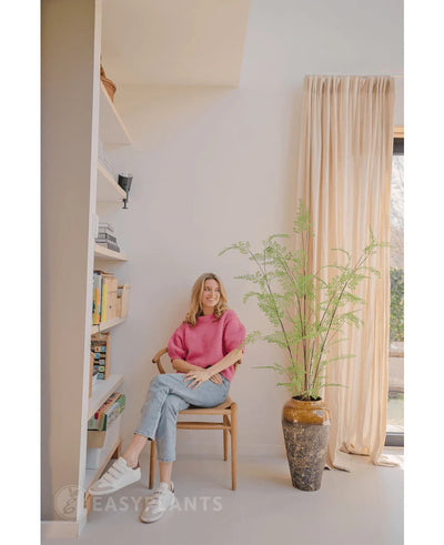 Een vrouw in een roze trui en een spijkerbroek zit op een houten stoel naast een Kunst varen-plant van 120 cm, met boekenkasten en een raam met beige gordijnen in een lichte, moderne kamer.