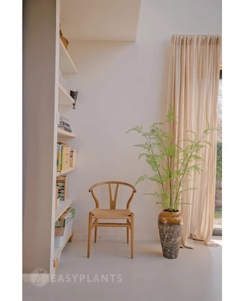 Naast een 120 cm hoge Kunst varen in een pot staat een houten stoel, vlakbij crèmekleurige gordijnen en een muur met planken vol boeken en decoratie. Zonlicht verlicht de minimalistische kamer, waar stijlvolle kamerplanten zoals de Kunst varen een vleugje door de natuur geïnspireerde rust toevoegen.