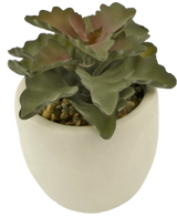 Artificial Fat Plant 15 cm - Easyplants Artificial Plants & Flowers