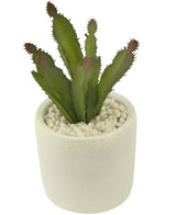 De Kunst vetplant 20 cm is een kleine groene vetplant met puntige bladeren in een pot met witte textuur gevuld met witte kiezels tegen een effen achtergrond.