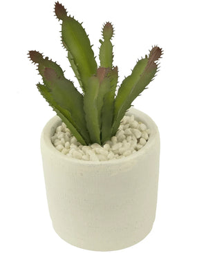 De Kunst vetplant 20 cm is een kleine groene vetplant met puntige bladeren in een pot met witte textuur gevuld met witte kiezels tegen een effen achtergrond.