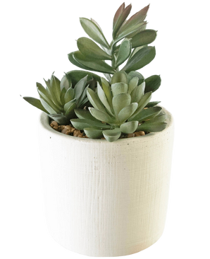 Artificial Fat Plant 20 cm - Easyplants Artificial Plants & Flowers