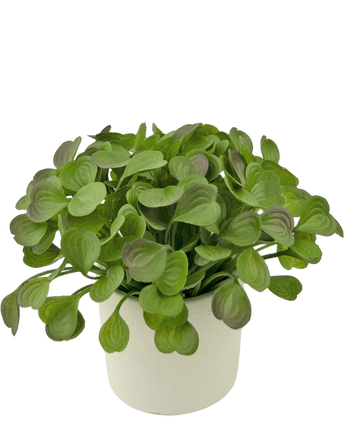 Artificial fat plant 22 cm in decorative pot - Easyplants Artificial Plants & Flowers