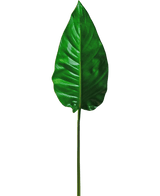 Artificial magazine Alocasia 76cm - Easyplants Artificial Plants & Flowers