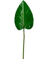 The Artificial Leaf Alocasia 78cm has one large, glossy green leaf with a pointed top and prominent veins on a long, slender stem, against a plain white background.