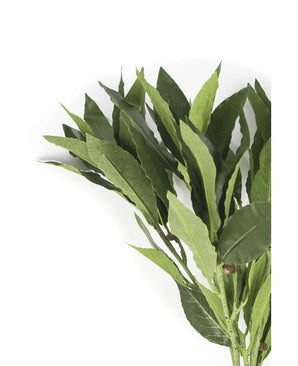 Het Kunstblad Laurier 50 cm groen heeft frisgroene bladeren op takken tegen een witte achtergrond, waardoor het perfect is om de elegantie van kunstbloemen toe te voegen aan elke inrichting.