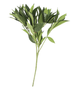 Artificial magazine Laurier 50 cm green - Easyplants Artificial Plants & Flowers