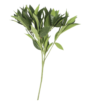 Artificial magazine Laurier 50 cm green - Easyplants Artificial Plants & Flowers