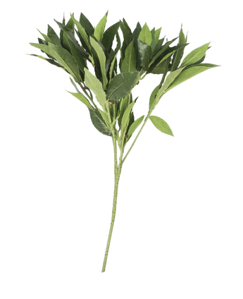 Artificial magazine Laurier 50 cm green - Easyplants Artificial Plants & Flowers