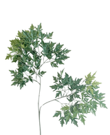 Artificial magazine Ming Aralia 50 cm Green Fire retardant - Easyplants Artificial Plants & Flowers