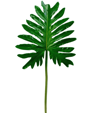 Artificial magazine Philodendron 68cm - Easyplants Artificial Plants & Flowers