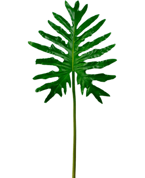 Artificial magazine Philodendron 90cm - Easyplants Artificial Plants & Flowers