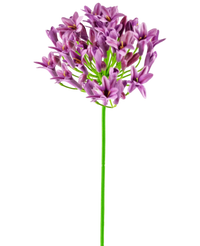 Artificial Flower Agapanthus 77 cm Purple - Easyplants Artificial Plants & Flowers
