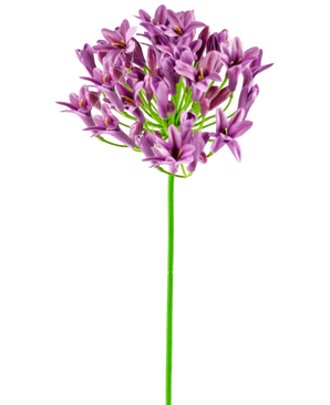Artificial Flower Agapanthus 77 cm Purple - Easyplants Artificial Plants & Flowers