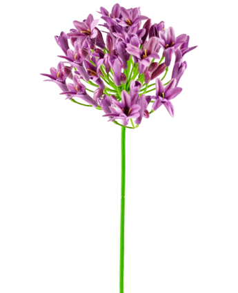 Artificial Flower Agapanthus 77 cm Purple - Easyplants Artificial Plants & Flowers