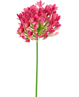 Artificial Flower Agapanthus 77 cm Pink - Easyplants Artificial Plants & Flowers