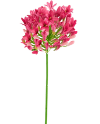 Artificial Flower Agapanthus 77 cm Pink - Easyplants Artificial Plants & Flowers