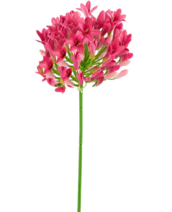 Artificial Flower Agapanthus 77 cm Pink - Easyplants Artificial Plants & Flowers
