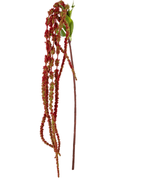 Artificial Flower Amaranthus 122 cm Wine Red - Easyplants Artificial Plants & Flowers