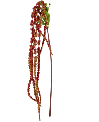 Artificial Flower Amaranthus 122 cm Wine Red - Easyplants Artificial Plants & Flowers