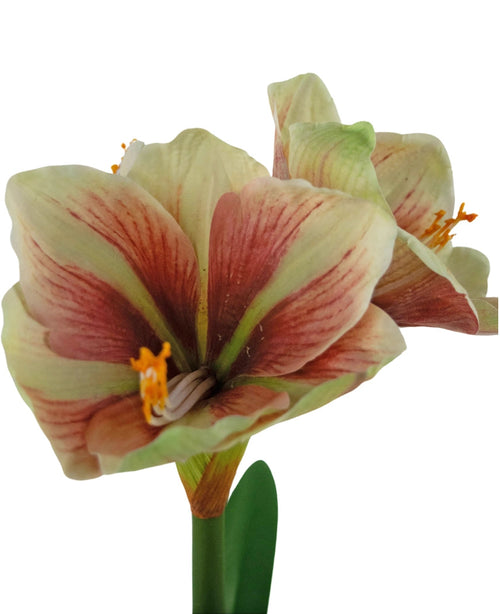 A close-up of the Artificial Flower Amaryllis Real Touch Red/Yellow 48 cm shows the vibrant red and yellow petals, lifelike texture and green leaves against a white background.