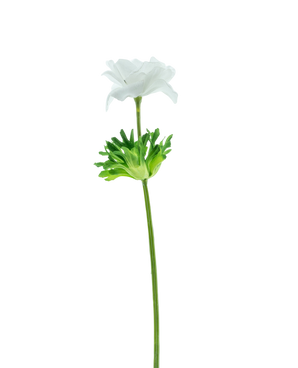 Artificial flower anemoon real touch white 52 cm - Easyplants Artificial Plants & Flowers