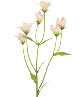 Artificial flower aster 60 cm pink - Easyplants Artificial Plants & Flowers