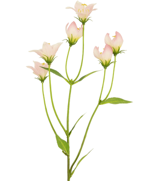 Artificial flower aster 60 cm pink - Easyplants Artificial Plants & Flowers