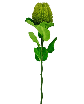 Artificial Flower Banksia 59 cm Green - Easyplants Artificial Plants & Flowers