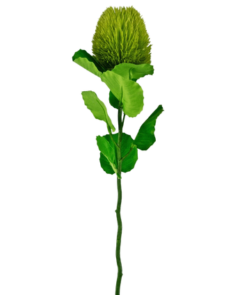 Artificial Flower Banksia 59 cm Green - Easyplants Artificial Plants & Flowers